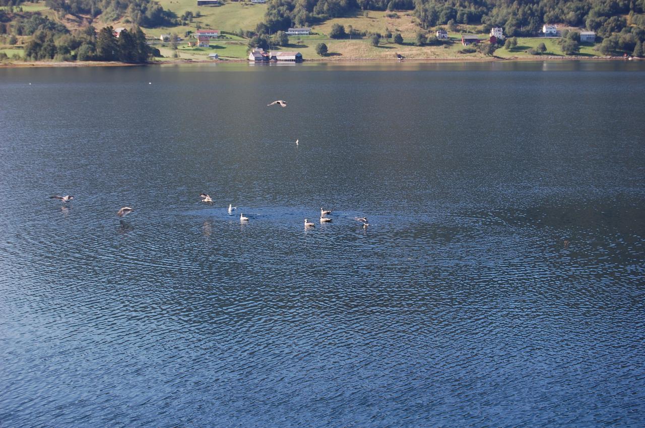 Fagervik Camping Tresfjord Luaran gambar